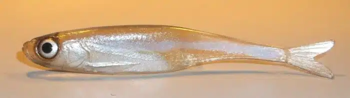 ABLETTE FINESS 6.5CM REF FIZSN