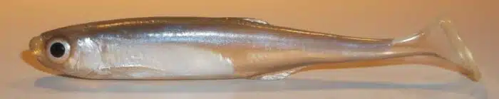 ABLETTE SHAD 7.5CM REF FINPX