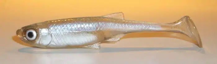 ABLETTE SHAD 7CM REF FIZSN