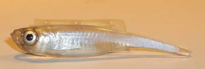 ALEVIN FINESS 4CM REF FIZSN