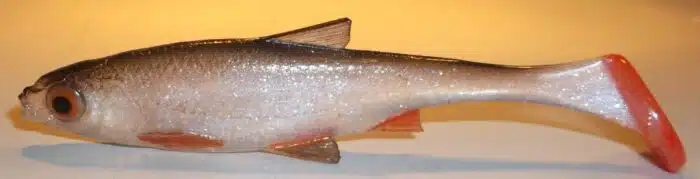 GARDON SHAD 10CM REF FICP
