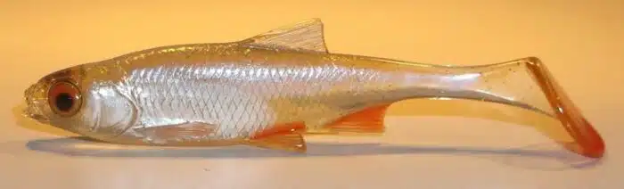 GARDON SHAD 7.5CM REF FIZSN