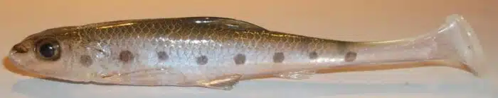 GOUJON SHAD 12.5CM REF FION