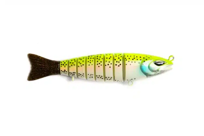 S-Funky RAINBOWTROUT