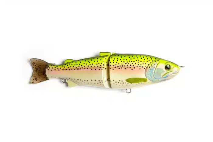 Statam Rainbowtrout