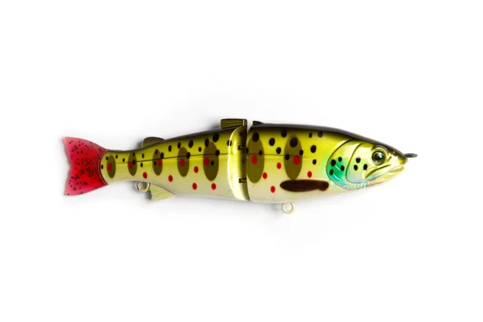 Statam Browntrout