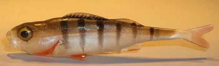 PERCHE FINESS 7.5CM REF FIBZP
