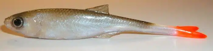 GARDON FINESS 8CM REF FIVON