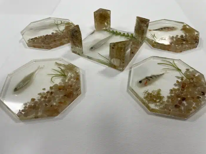 Set sous-verres avec support leurres souples