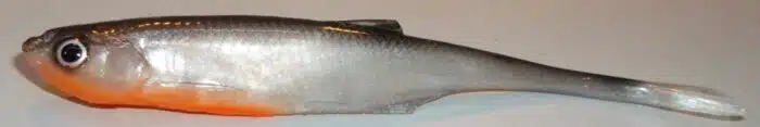 ABLETTE FINESS 11CM FIVCPO