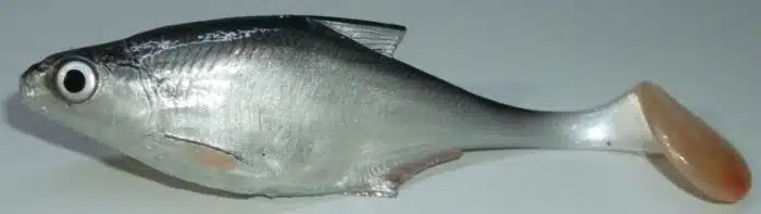 BREME SHAD 11.5CM FICP